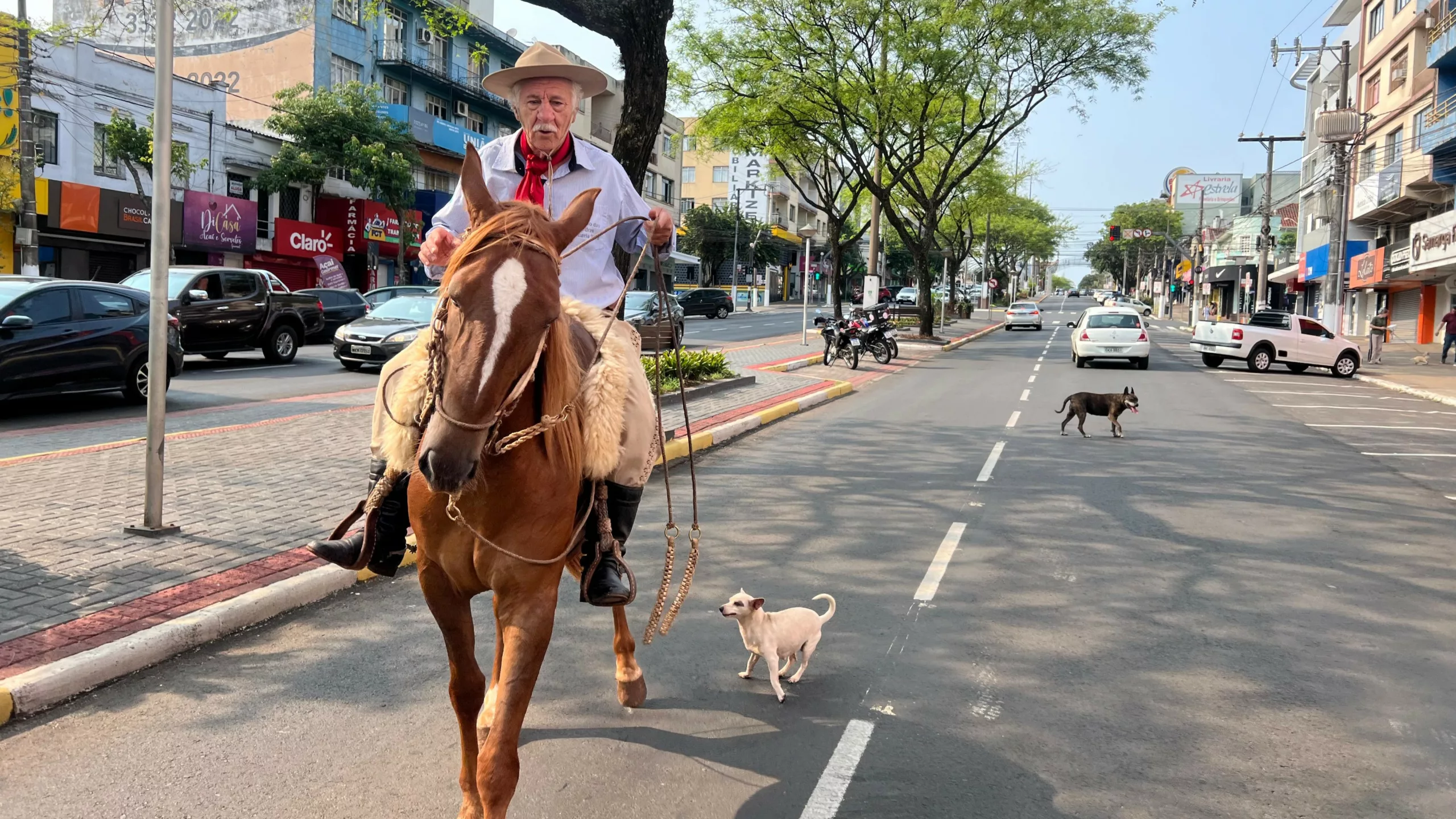 Idoso vai votar a cavalo em SC; veja vídeo | Foto: Bruno Reinehr/ClicRDC