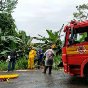 Imagem: Corpo de bombeiros