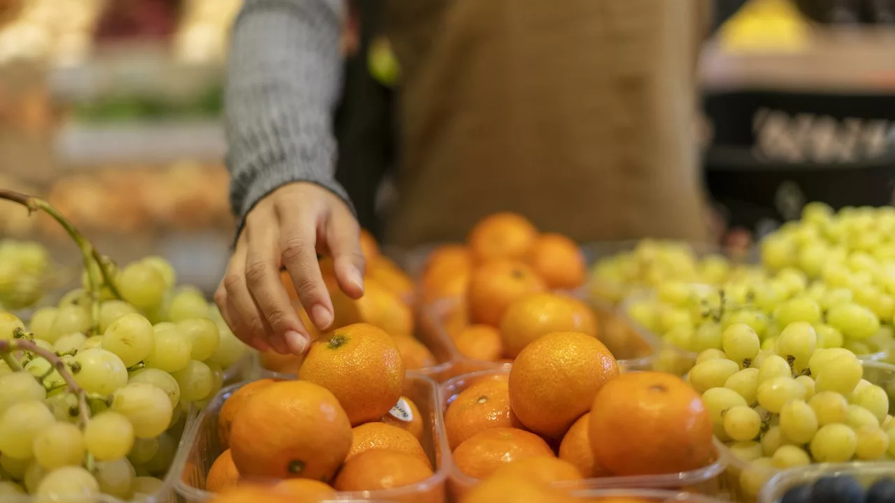 Rica em colágeno, fruta pode trazer diversos benefícios pro cérebro; saiba qual | Foto: Freepik