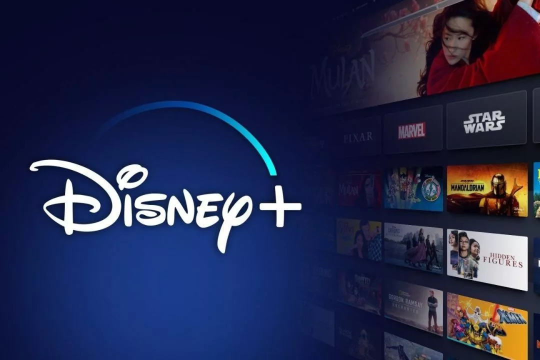 Foto: Disney+/Reprodução. 