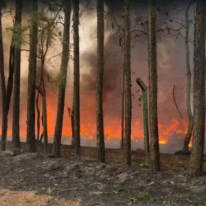 Grande incêndio interdita rodovia no Oeste de SC; veja vídeo | Foto: Bruno Reinehr/ClicRDC
