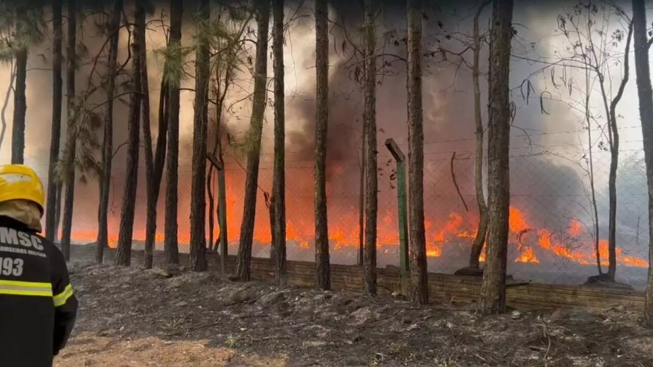 Grande incêndio interdita rodovia no Oeste de SC; veja vídeo | Foto: Bruno Reinehr/ClicRDC
