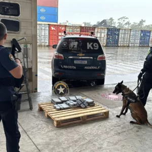 20 kg de cocaína com destino à China são apreendidos no Porto de Itapoá