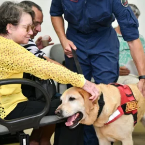 Cães de busca do CBMSC levam alegria no HEMOSC