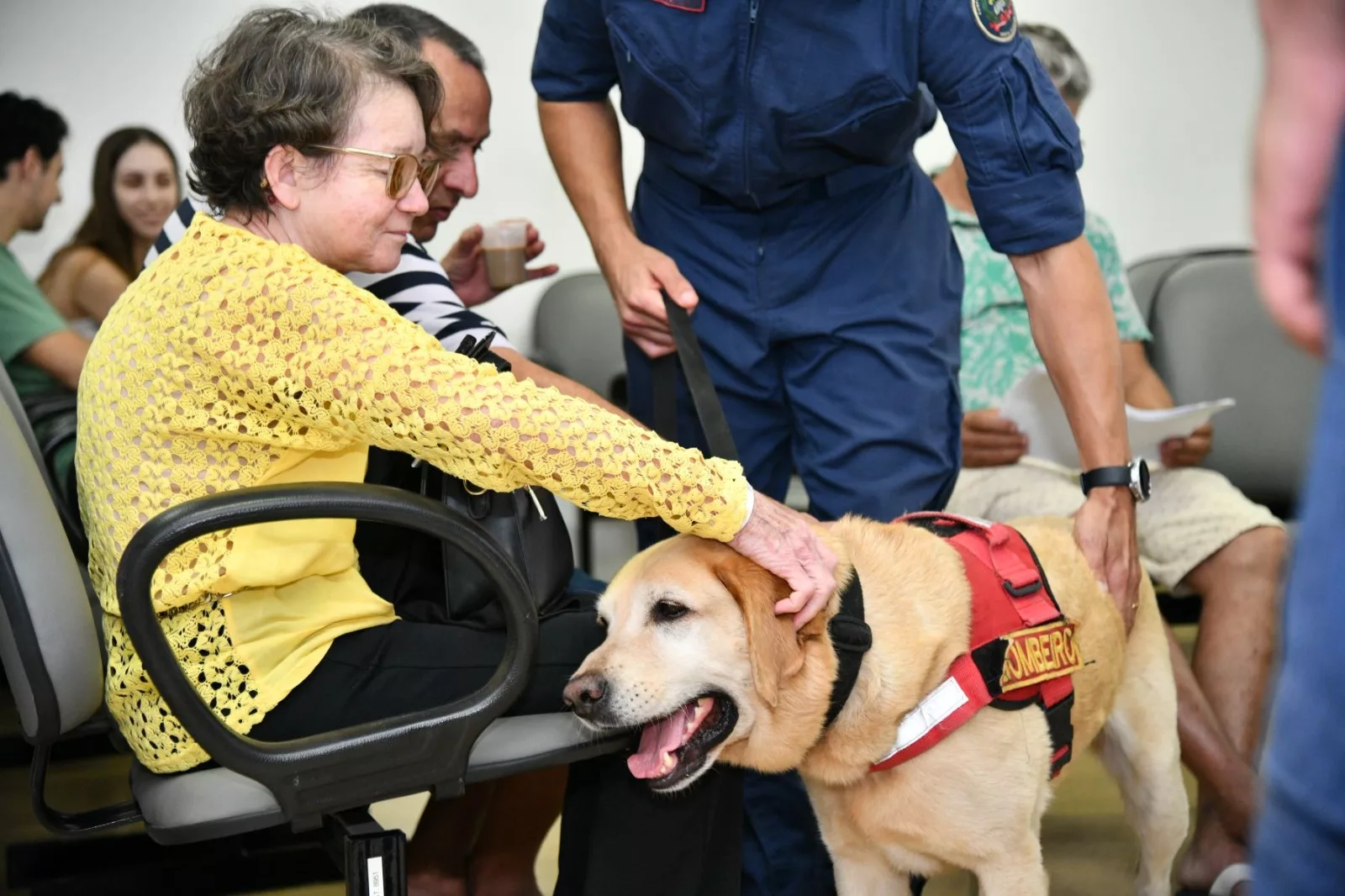 Cães de busca do CBMSC levam alegria no Dia Nacional do Doador de Sangue. | Foto: CBMSC/Divulgação