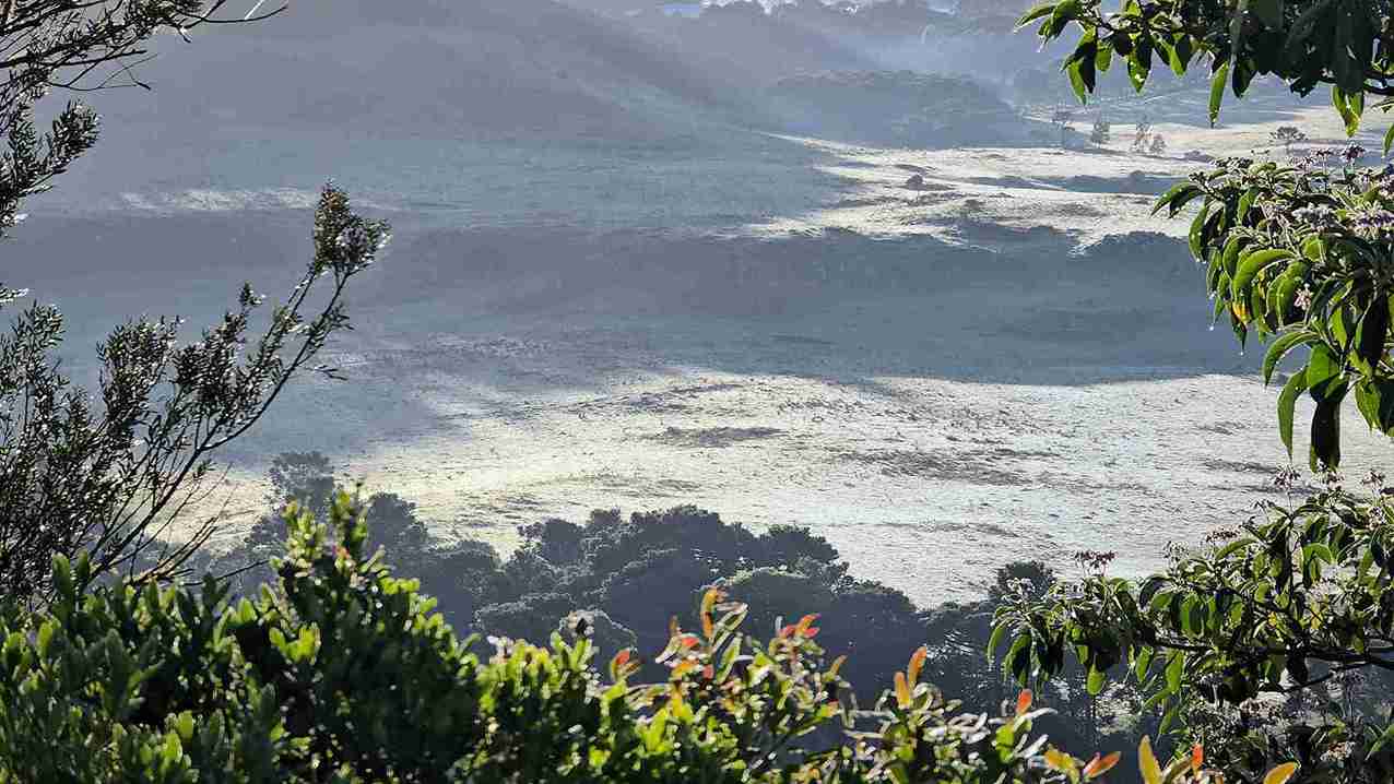 De geadas a calor de 30°C: como será a primavera em SC – Imagem: reprodução