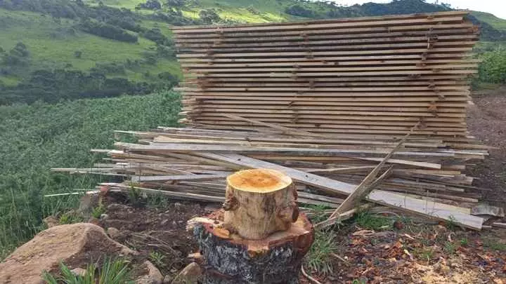 Foto: Polícia Militar Ambiental