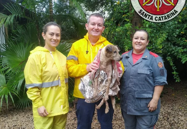 Equipe dos bombeiros com cão resgatado. Foto: Corpo de Bombeiros/Divulgação.