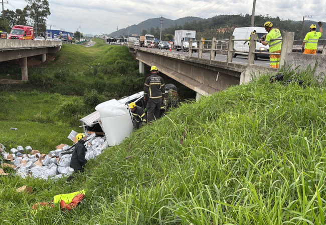 Imagem do resgate. Foto: Corpo de Bombeiros/Divulgação.