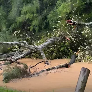 São Pedro de Alcântara entra em risco alto para deslizamentos de terra; veja imagens