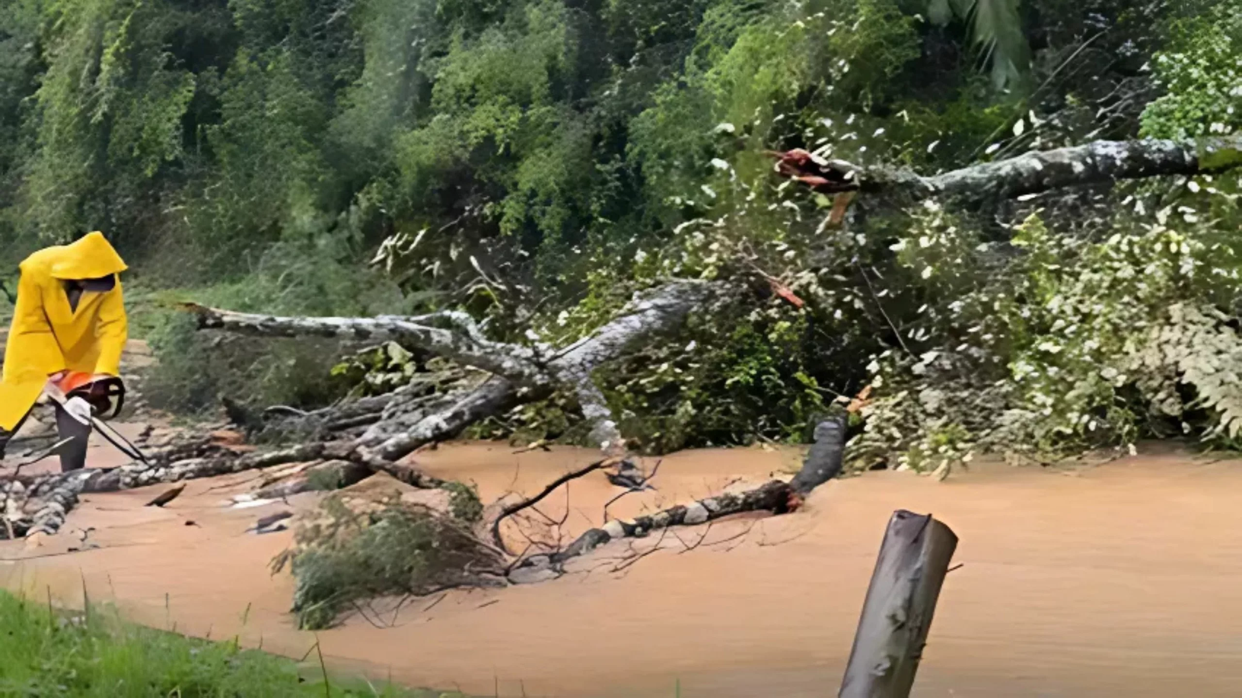 São Pedro de Alcântara entra em risco alto para deslizamentos de terra; veja imagens | Foto: Prefeitura de São Pedro de Alcântara