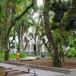 Praça de Criciúma agora está ainda mais linda. - Foto: Decom/Reprodução