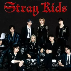 Stray Kids anuncia shows no Brasil. | Foto: Reprodução/Redes Sociais 