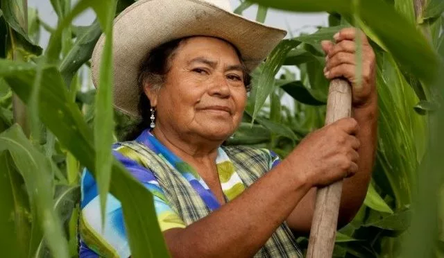 Imagem ilustrativa. | Mulher empreendedora rural. | Foto: divulgação