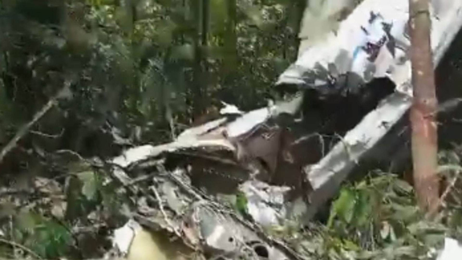 Avião desaparecido no Amazonas é encontrado; veja detalhes. - Foto: Metrópoles/Reprodução