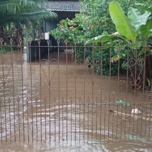 Foto: divulgação | Prefeitura de Araquari.