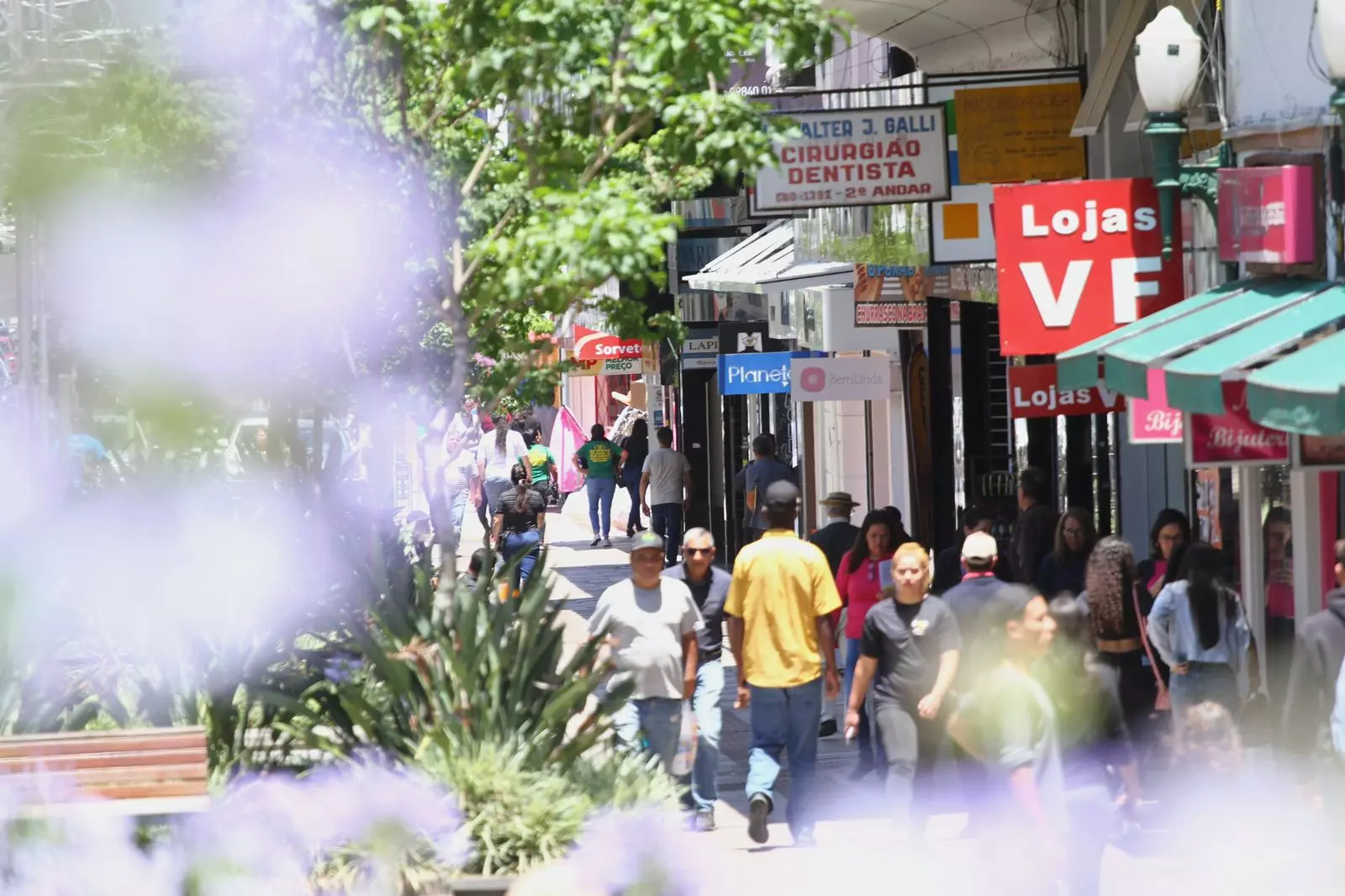 Comércio de Lages amplia atendimento para as compras de natal | Foto: Fábio Pavan