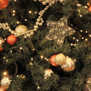 Programação de Natal em Joinville. | Imagem Ilustrativa. Foto: Pixabay (banco de imagens) 