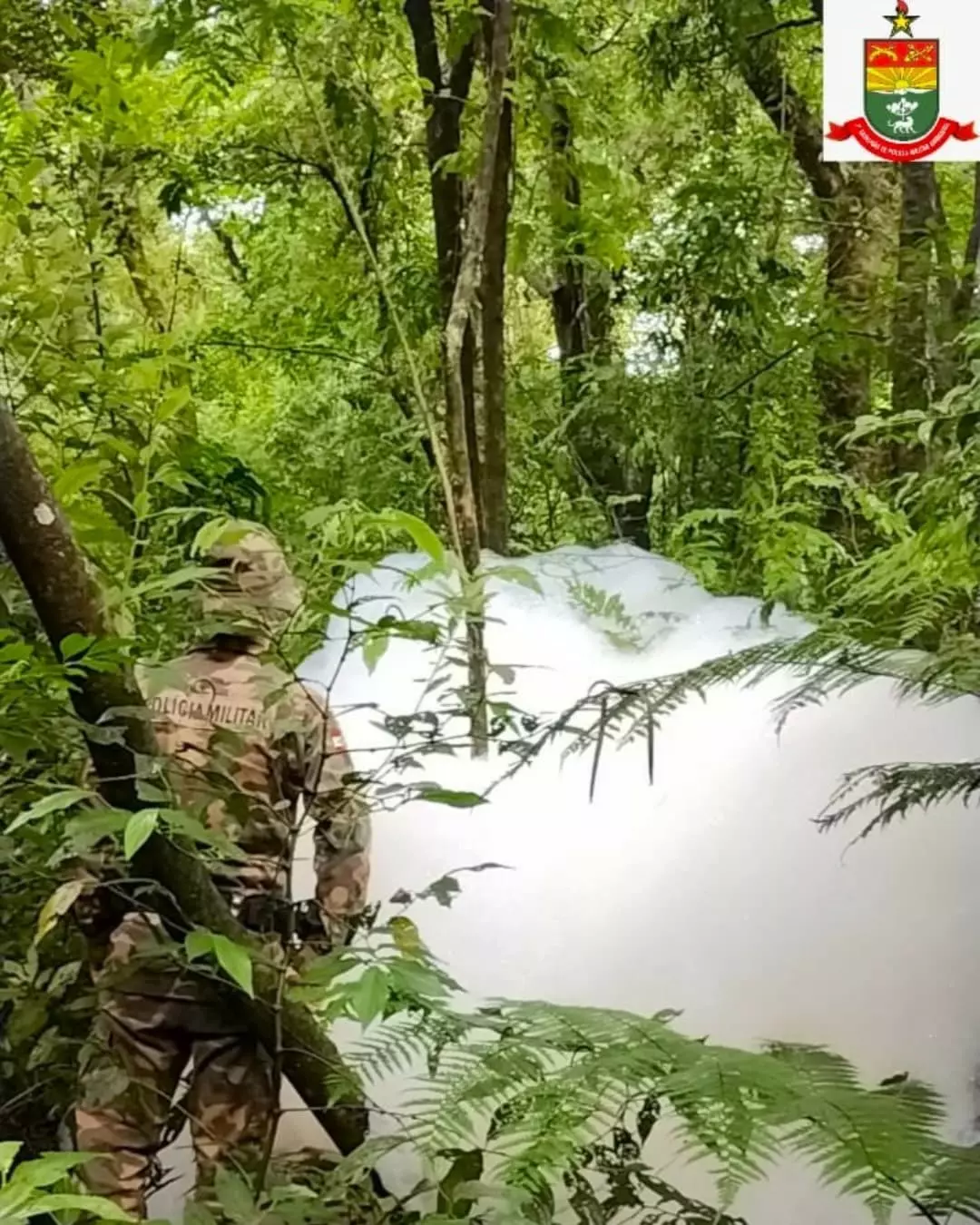 Imagem: Polícia Militar Ambiental/Reprodução