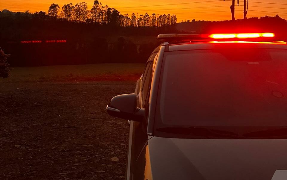 Imagem: Polícia Civil/Reprodução