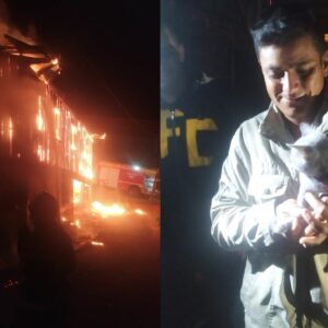 Gato é resgatado durante grande incêndio no Oeste de SC