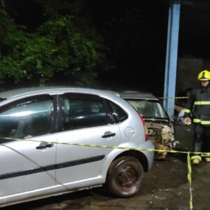 Carros foram atingidos pelo incêndio | Imagem: Corpo de Bombeiros/Reprodução