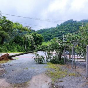 Foto: Prefeitura de Jaraguá do Sul | Divulgação 