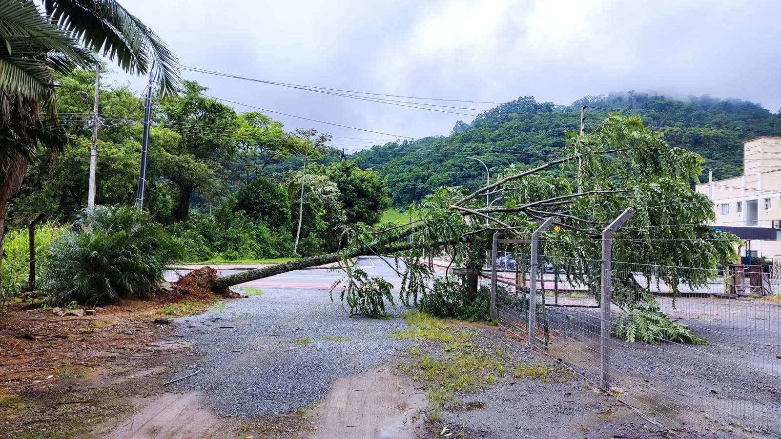 Foto: Prefeitura de Jaraguá do Sul | Divulgação 