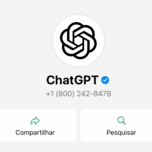 ChatGPT no WhatsApp: saiba como usar. - Foto: WhatsApp/Reprodução