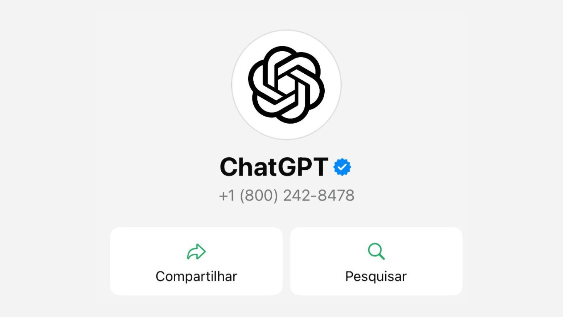 ChatGPT no WhatsApp: saiba como usar. – Foto: WhatsApp/Reprodução