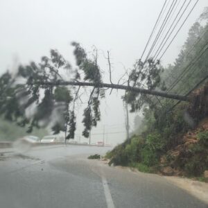 Alerta severo Defesa Civil emite notificação urgente sobre tempo em SC