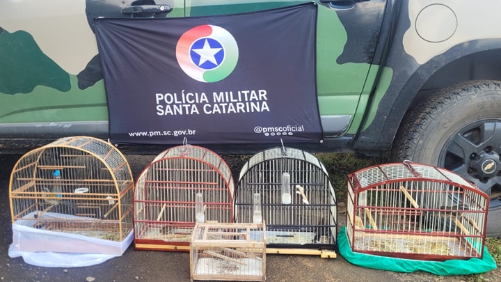 Polícia faz mais uma apreensão de aves silvestres mantidas em cativeiro na Serra