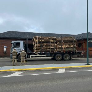 Caminhão com excesso de carga é flagrado em rodovia da serra