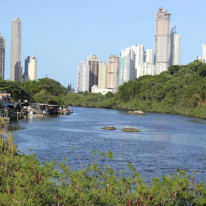 Corpo em decomposição é encontrado às margens do Rio Camboriú