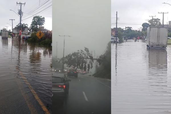 Florianópolis enfrenta caos no trânsito após alagamentos na SC-104; veja imagens