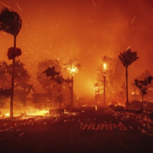 Incêndio devasta o bairro de Pacific Palisades, em Los Angeles | AP/Ethan Swope