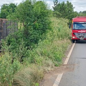 Motorista fica ferido após carreta sair da pista na BR-470 em Curitibanos