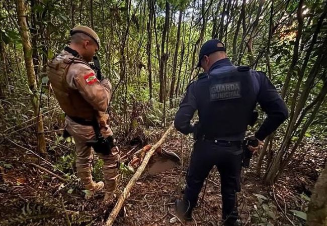 Foto: Polícia Militar/Divulgação.