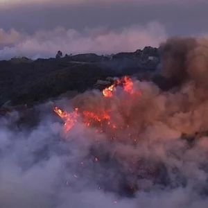 Incêndios em Los Angeles | Foto: Reprodução/SBT News