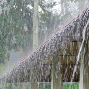 Temporais e chuva intensa devem retornar à SC; saiba quando. - Foto: Canva/Reprodução