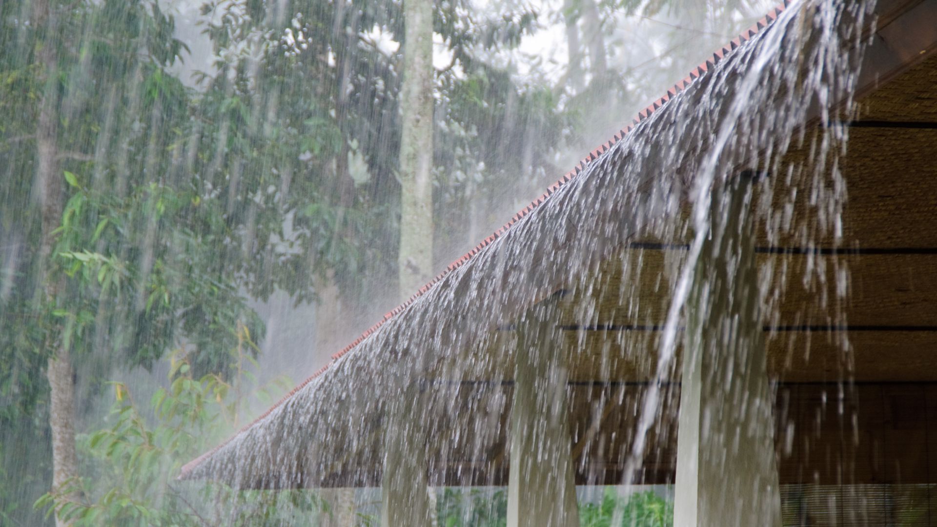 Temporais e chuva intensa devem retornar à SC; saiba quando. – Foto: Canva/Reprodução