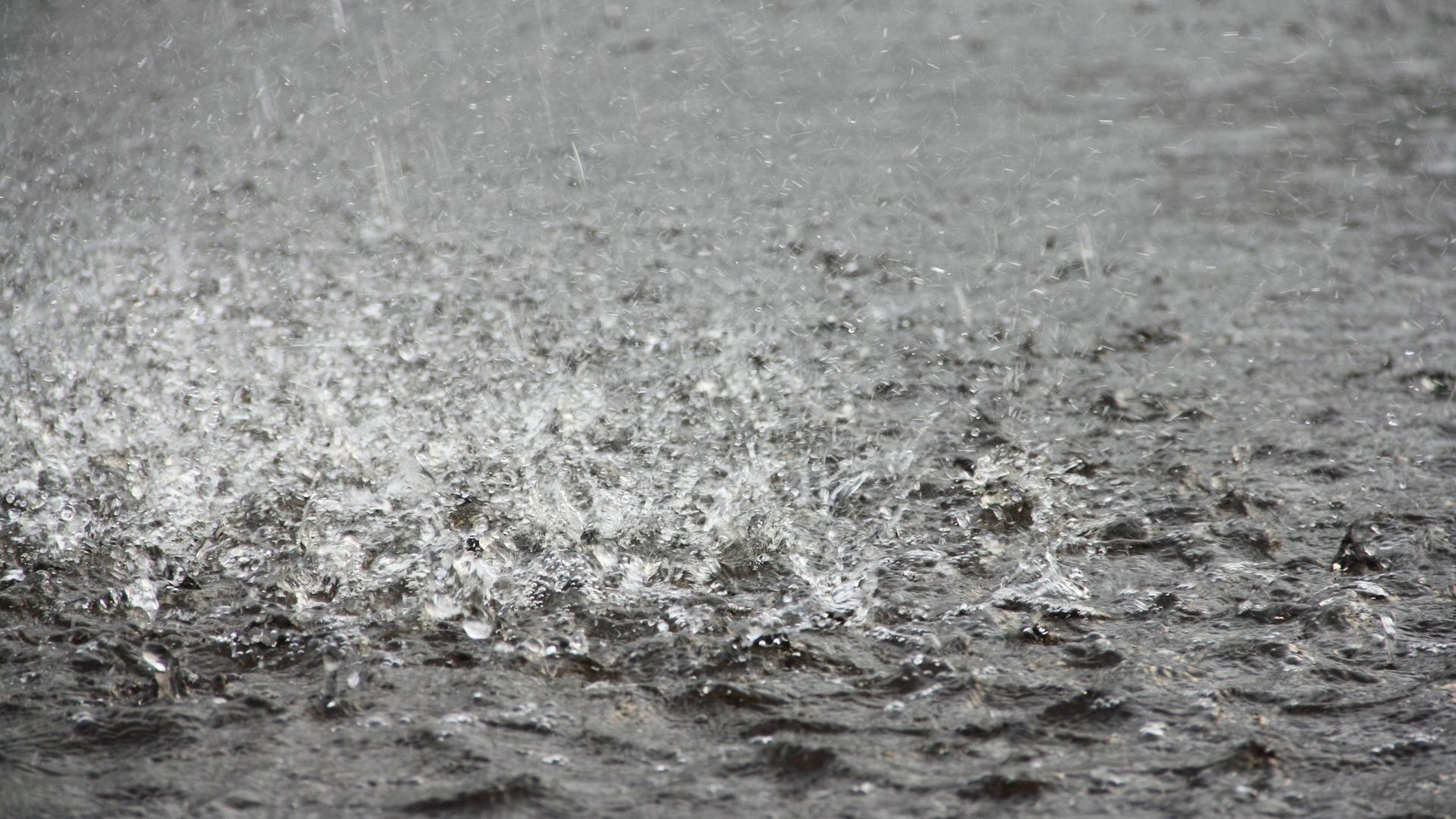 SC tem possibilidade de chuva intensa e temporais; veja previsão. - Foto: Canva/Reprodução