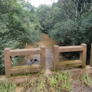 Mulher é encontrada morta dentro de rio de SC | Foto: CBMSC