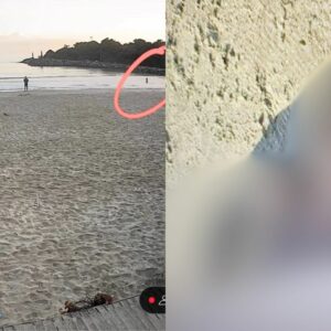 Jovem é encontrado morto em beira de praia no Litoral de SC | Foto: Cedido ao SCC10