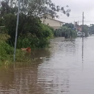 Imagem: Polícia Militar Rodoviária/Reprodução
