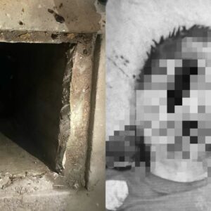 Após abusar de menina, idoso é linchado até a morte no RS. - Foto: @CrimesReais/Reprodução