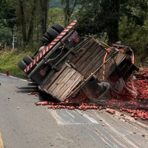 Imagem: Corpo de Bombeiros | Reprodução