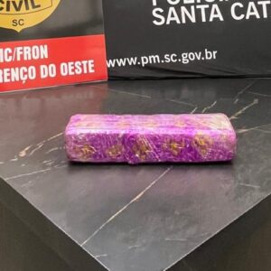 Imagem: Polícia Civil | Reprodução