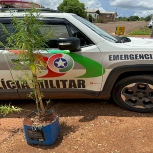 Imagem: Polícia Militar | Reprodução