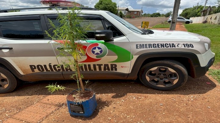 Imagem: Polícia Militar | Reprodução